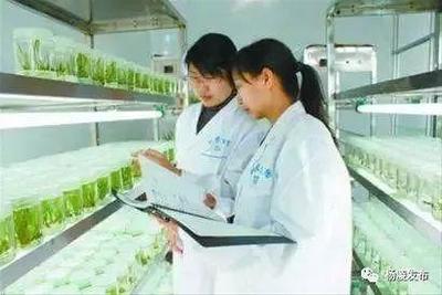 &ldquo;互聯網+農業&rdquo;