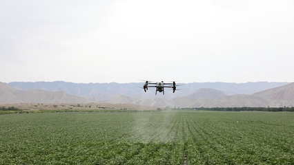 八師一四三團:智慧農業顯身手 科技種田有盼頭