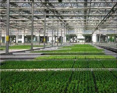 張兵書記調(diào)研湘家蕩農(nóng)業(yè)數(shù)字化工廠，助力農(nóng)民豐收節(jié)農(nóng)業(yè)科技服務(wù)